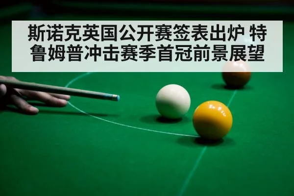 professional snooker player