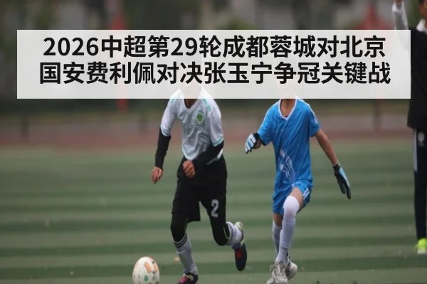 2026中超第29轮成都蓉城对北京国安费利佩对决张玉宁争冠关键战